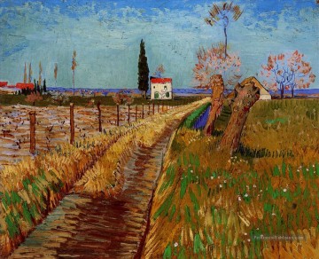 Chemin à travers un champ de saules Vincent van Gogh Peinture à l'huile